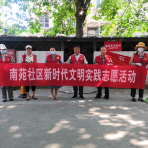 南苑社區開展“黨員中心戶進社區整治衛生”活動