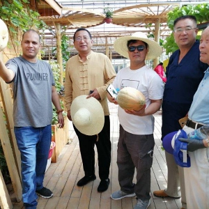 藝術百家助力棠張鎮沙莊村文旅項目