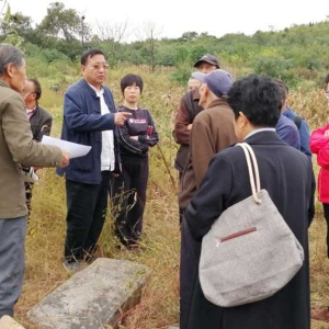 藝術百家庚子中秋國慶系列報道之六尋訪徐州古村土山寺